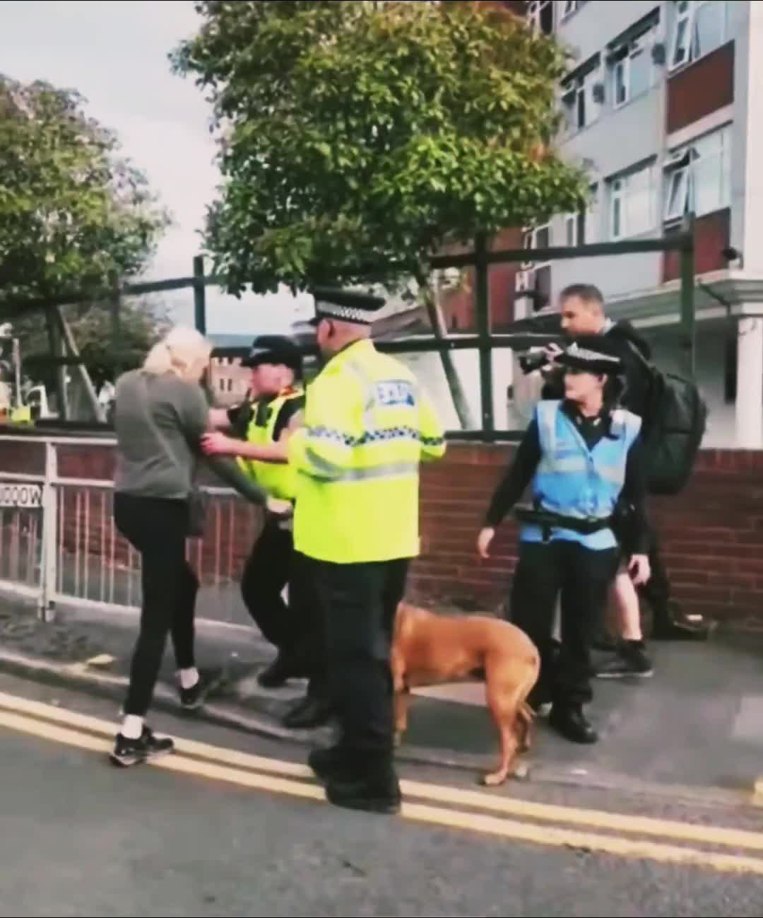 A Londra è vietato stare col cane dove vivono i musulmani